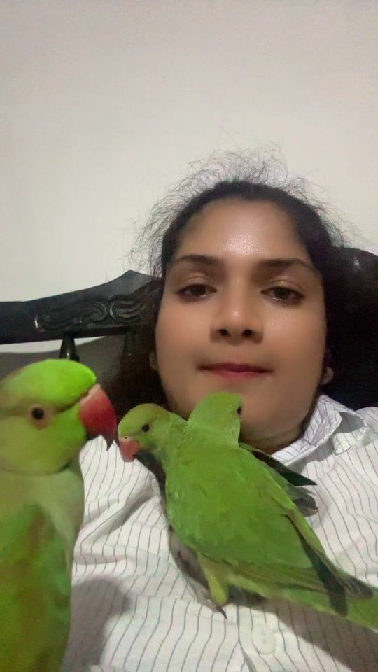 TikTok video thumbnail by parrot.danu