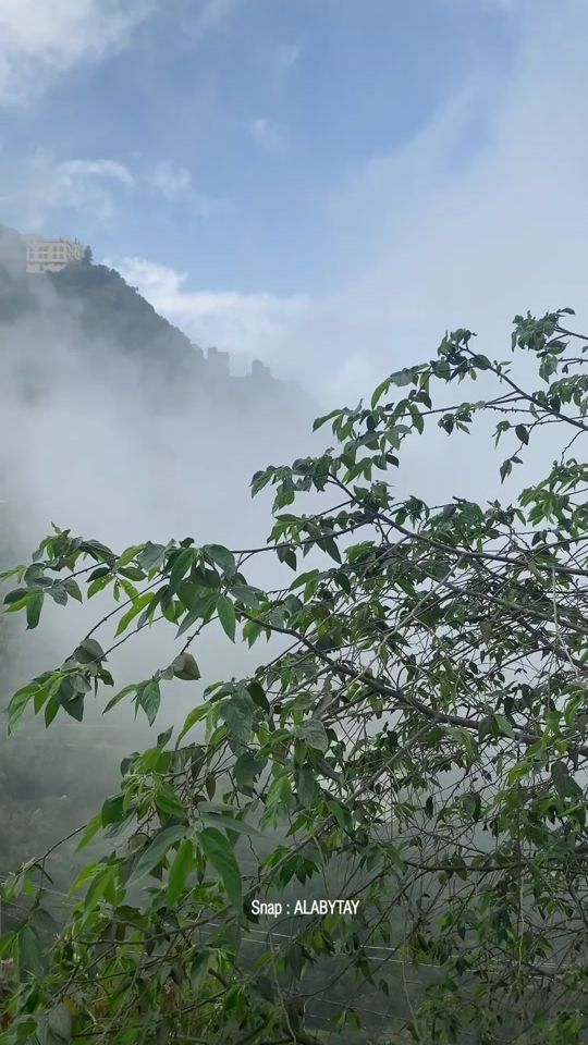 TikTok video thumbnail by z8n.2