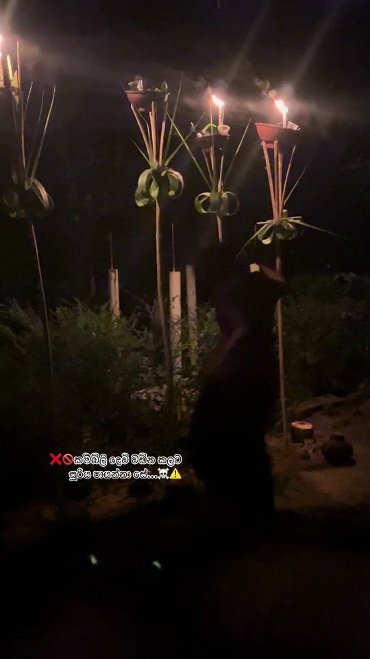 TikTok video thumbnail by __kalidewalaya