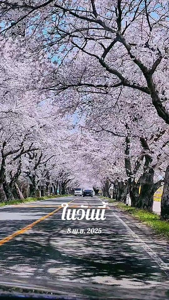 TikTok video thumbnail by usercgfo3mttls
