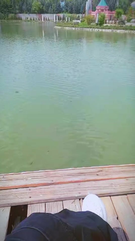 TikTok video thumbnail by _janral__