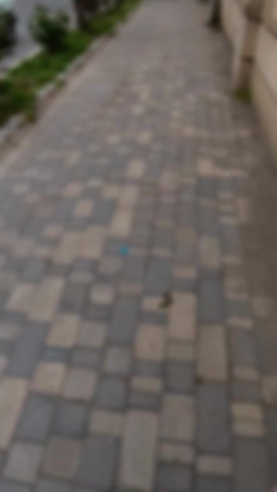 TikTok video thumbnail by xaver.hmdova