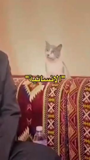 TikTok video thumbnail by ben_makki