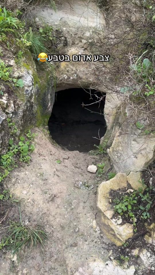 TikTok video thumbnail by mohammadhawa97