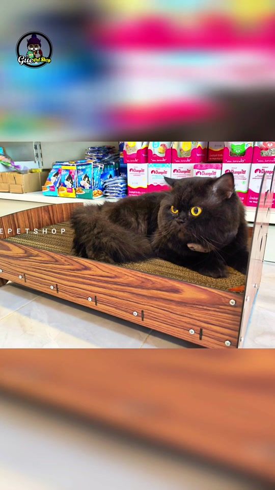 TikTok video thumbnail by guepetshop