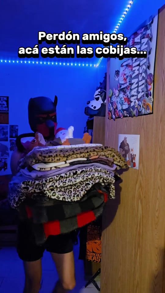 TikTok video thumbnail by cash_the_fox