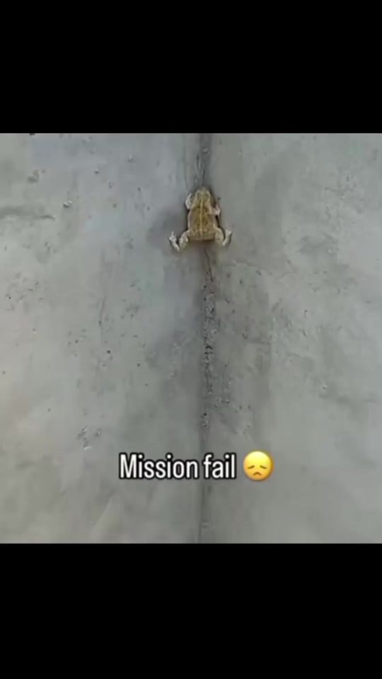 TikTok video thumbnail by mr_elcrack