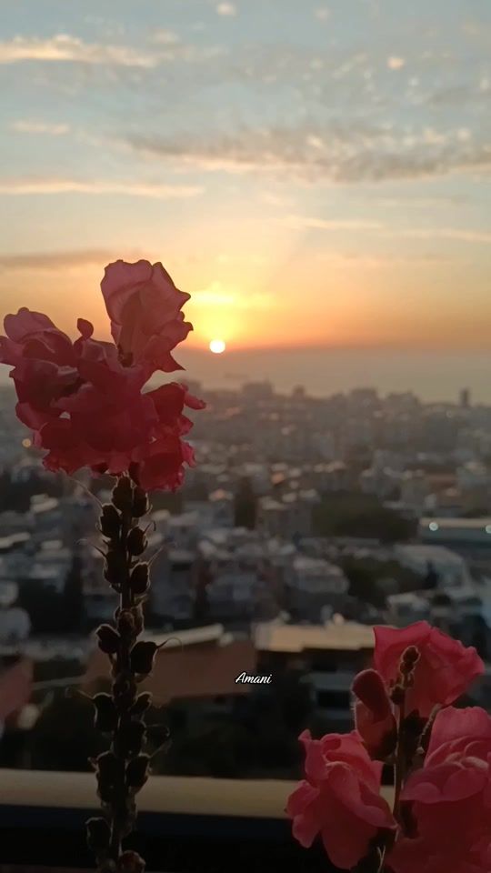 TikTok video thumbnail by b_amani