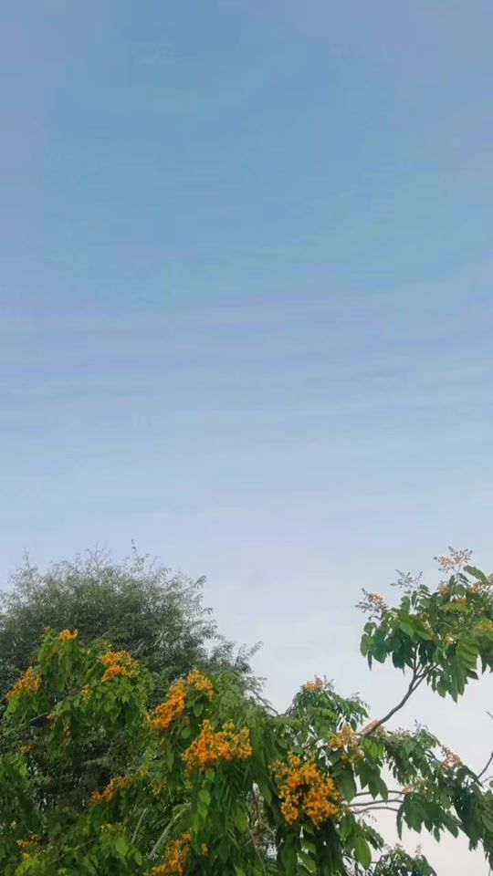 TikTok video thumbnail by thebible161