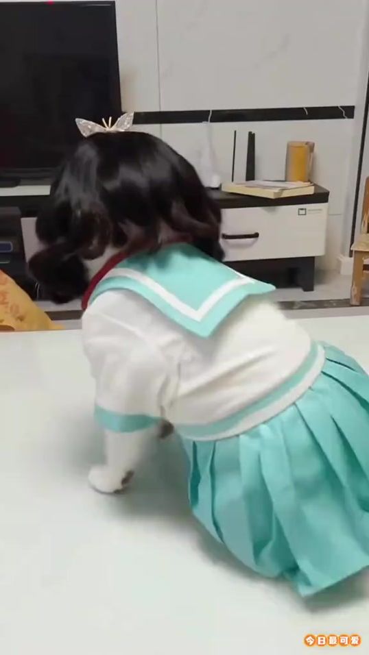 TikTok video thumbnail by shortsfunshow