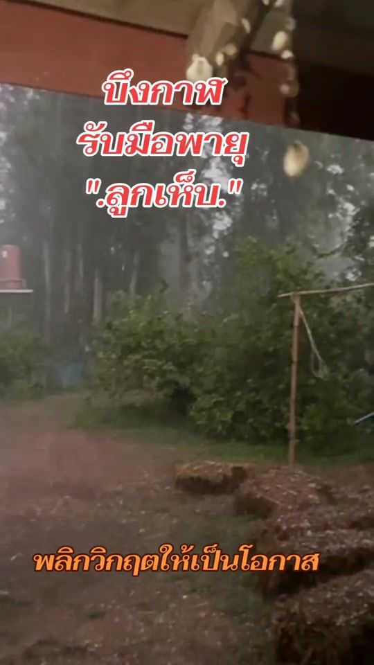 TikTok video thumbnail by user9938302588571