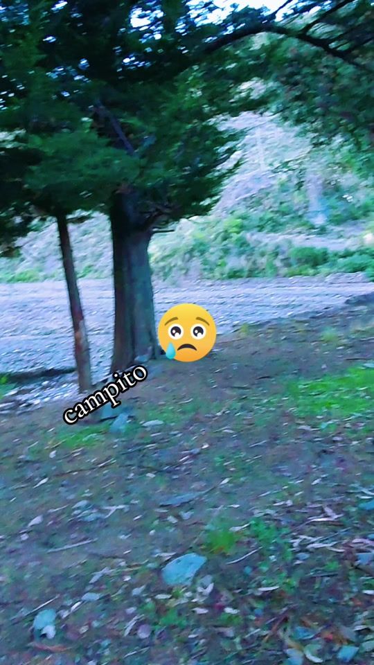TikTok video thumbnail by basiliacabreraram