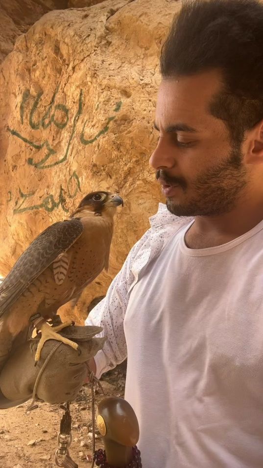 TikTok video thumbnail by farnk022