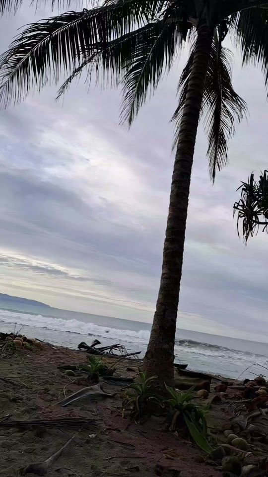 TikTok video thumbnail by ck_n3lly
