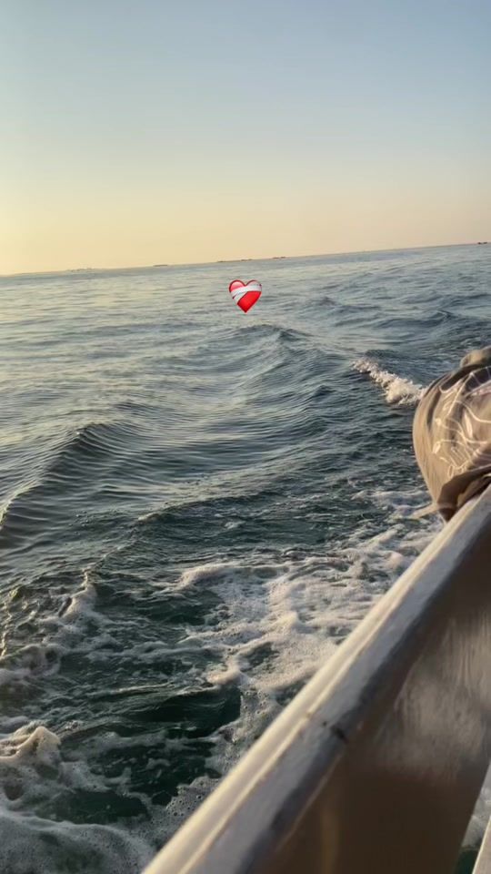 TikTok video thumbnail by sa_ba1230