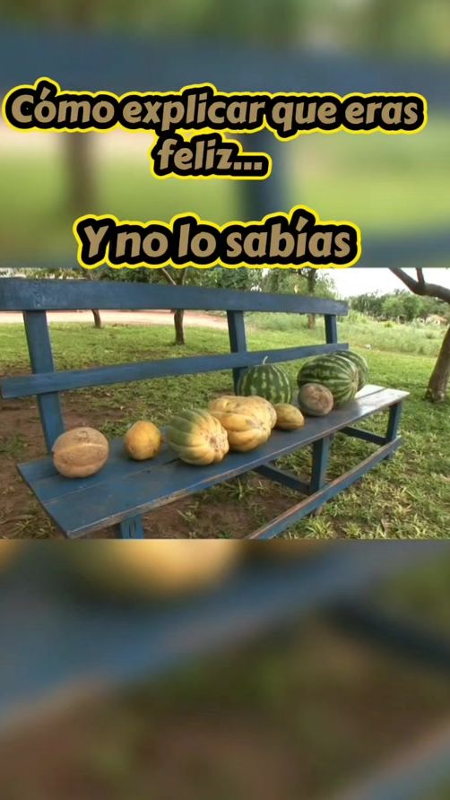 TikTok video thumbnail by jorgeluis.py