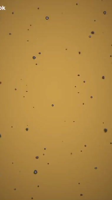 TikTok video thumbnail by msbaga3