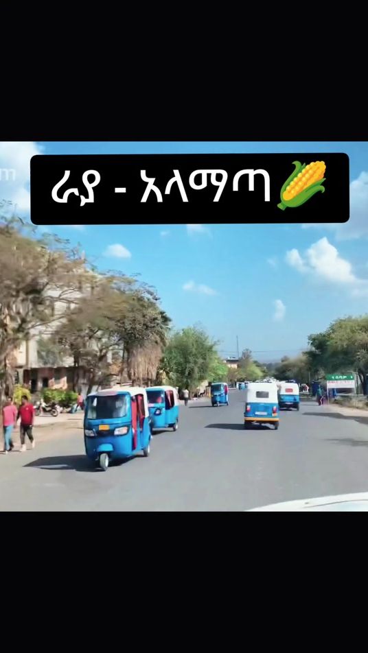 TikTok video thumbnail by wendidebash