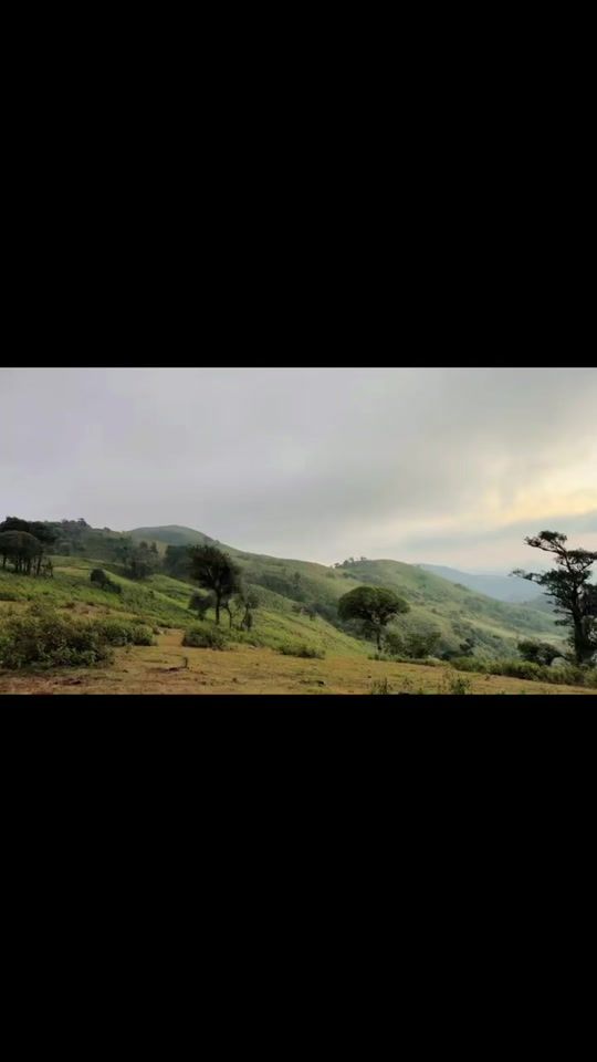 TikTok video thumbnail by maynine116