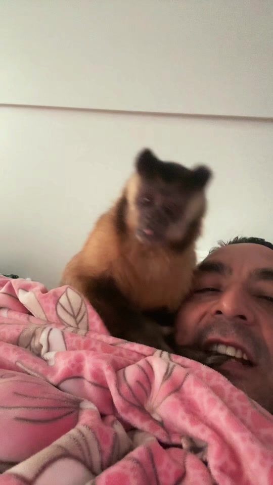 TikTok video thumbnail by carlos_abella22