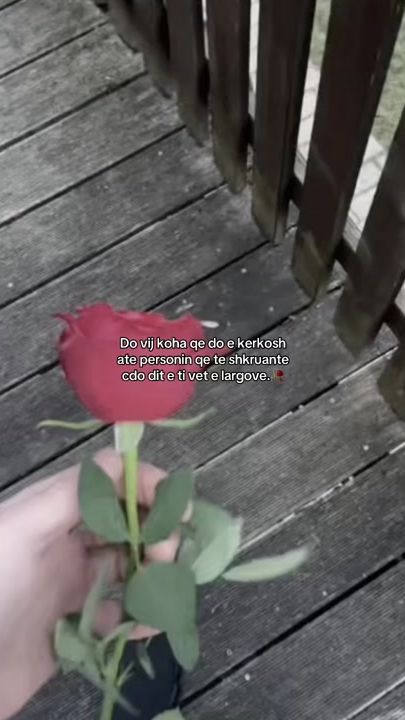 TikTok video thumbnail by klodi.009