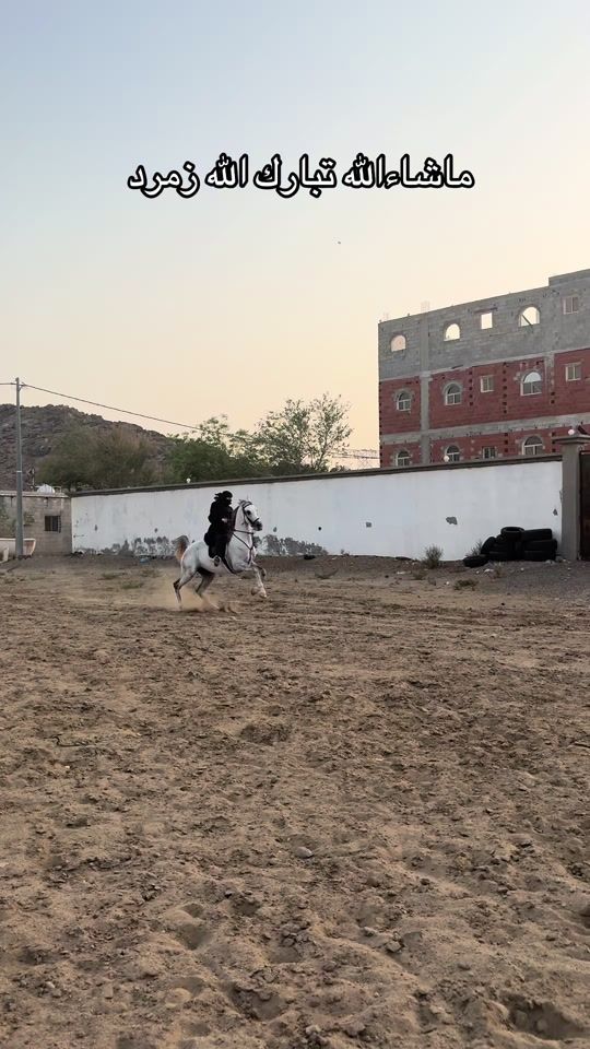 TikTok video thumbnail by _488k11