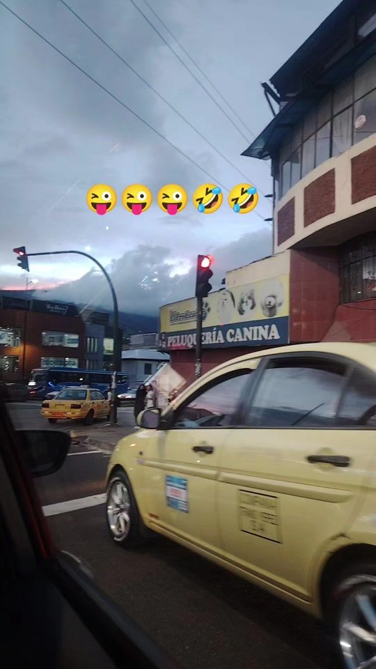 TikTok video thumbnail by patita.pj