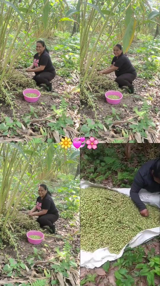 TikTok video thumbnail by lauralopez1197
