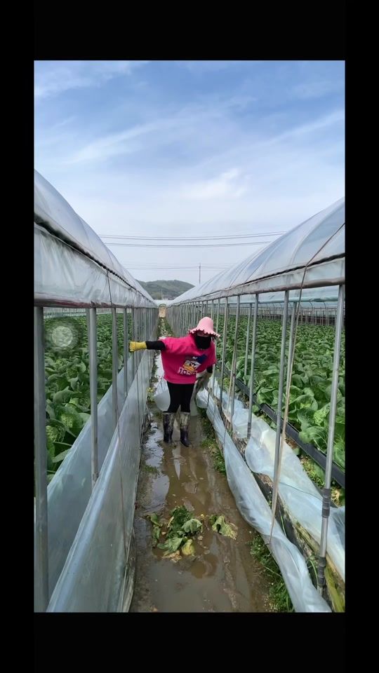 TikTok video thumbnail by rg.n04