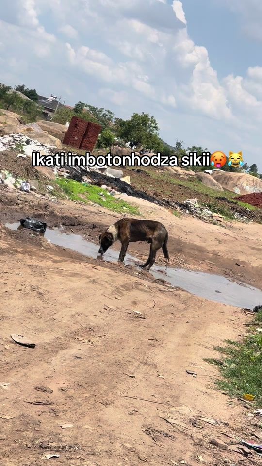 TikTok video thumbnail by baad_gener