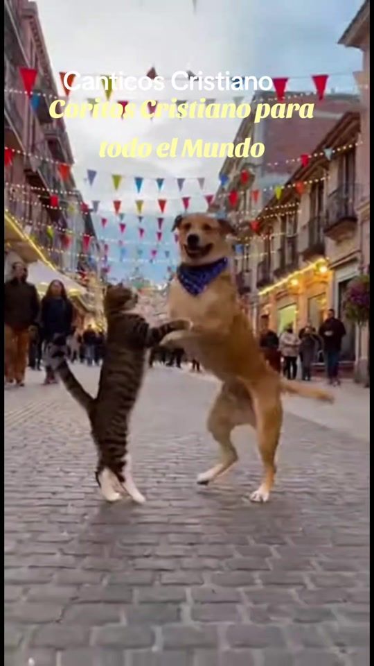 TikTok video thumbnail by yurick_blacky
