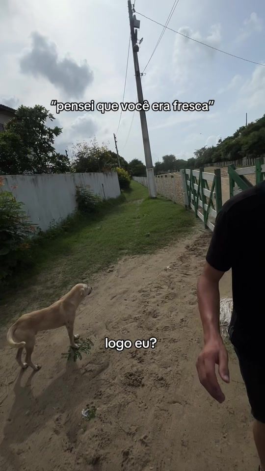 TikTok video thumbnail by suvilchiez