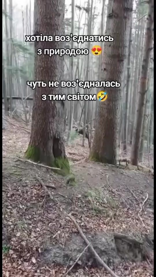 TikTok video thumbnail by sashka83638