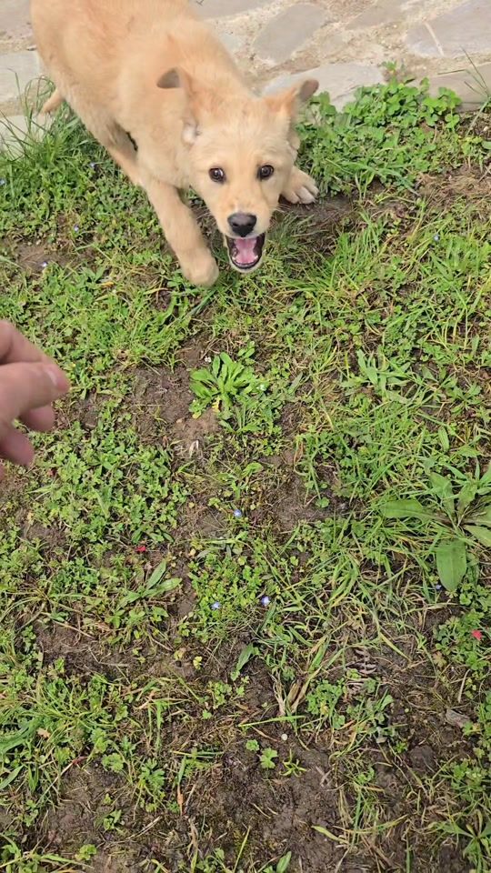 TikTok video thumbnail by huseyn_tagiyev061