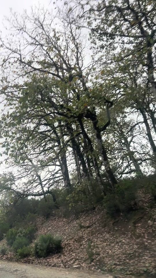 TikTok video thumbnail by bel7rouz
