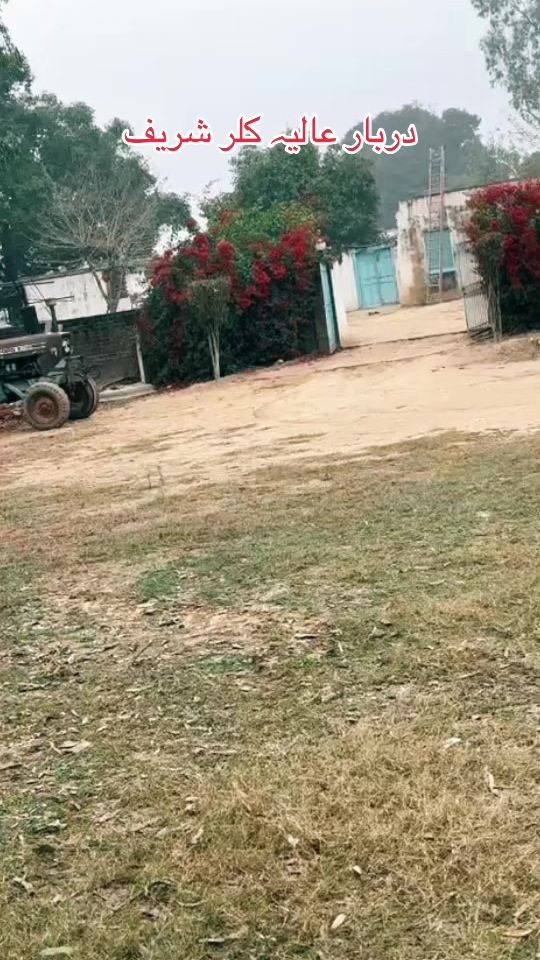 TikTok video thumbnail by dearamalangada