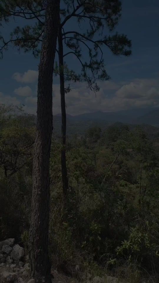 TikTok video thumbnail by zaira.cabrera0