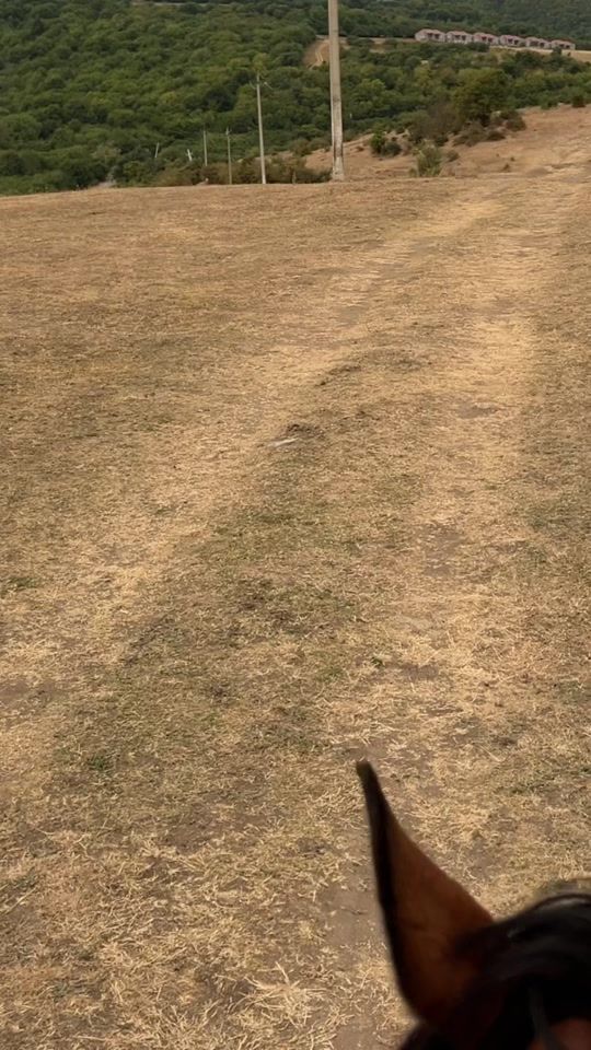 TikTok video thumbnail by sdqv810
