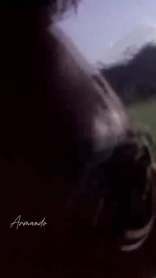 TikTok video thumbnail by armando_lirics