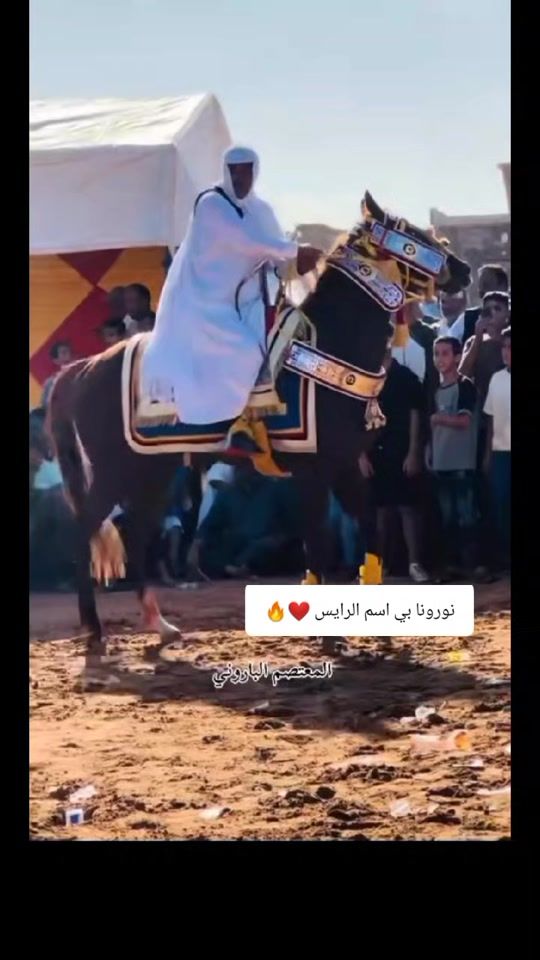 TikTok video thumbnail by user11870138709003