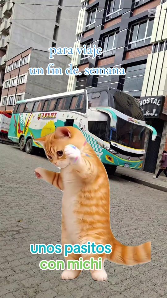 TikTok video thumbnail by chelosblok