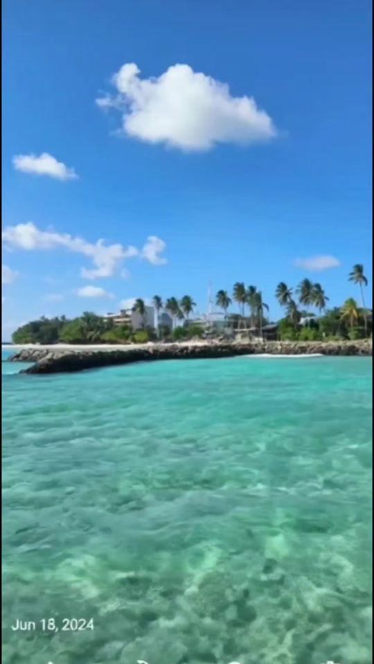 TikTok video thumbnail by sunflowergal84