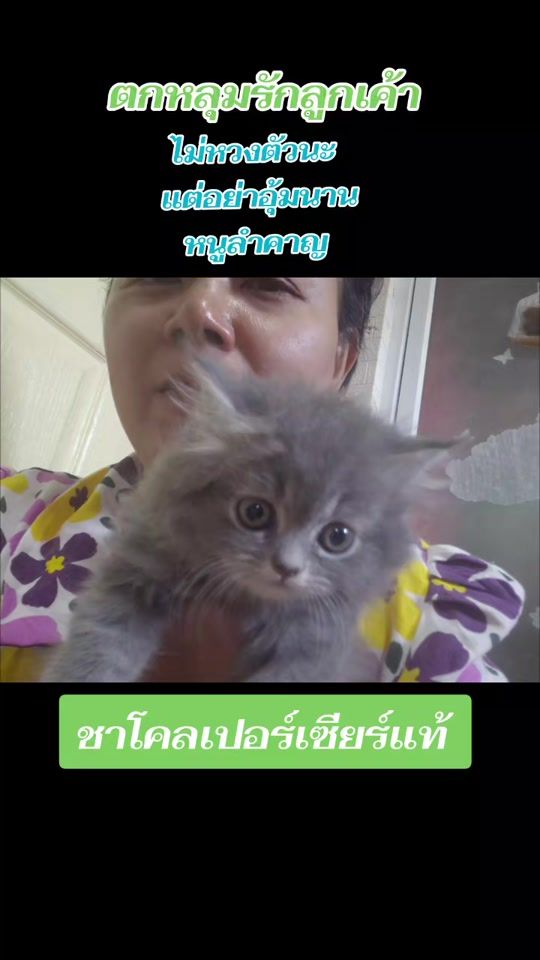 TikTok video thumbnail by ruthai.nid
