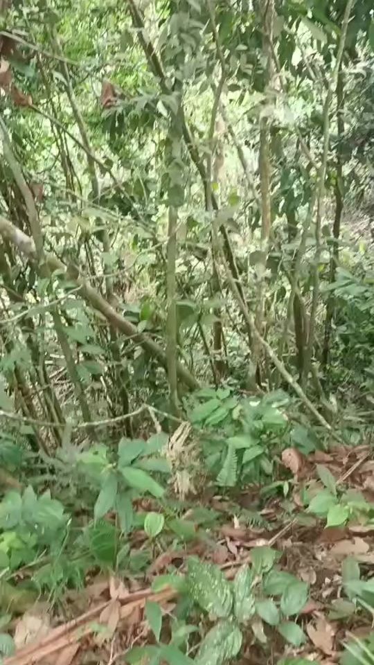 TikTok video thumbnail by 1afamoza