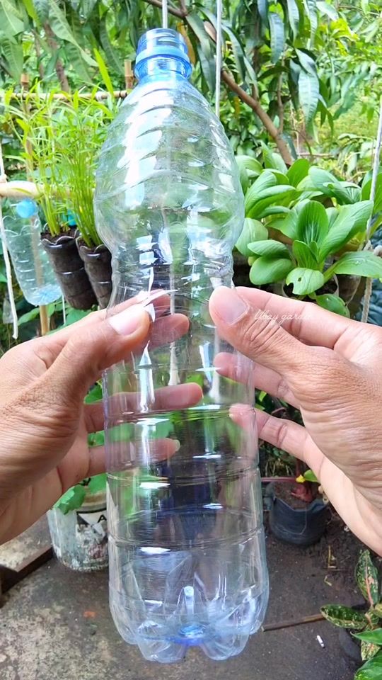 TikTok video thumbnail by ubay.garden