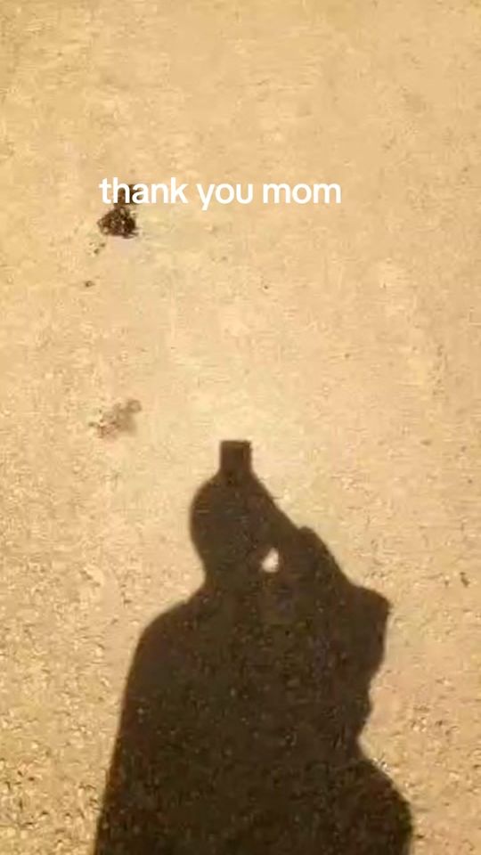 TikTok video thumbnail by kglpusemedia