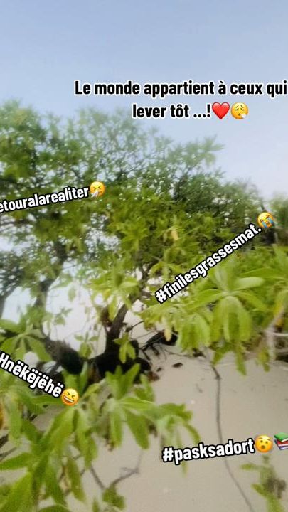 TikTok video thumbnail by ales_yaay