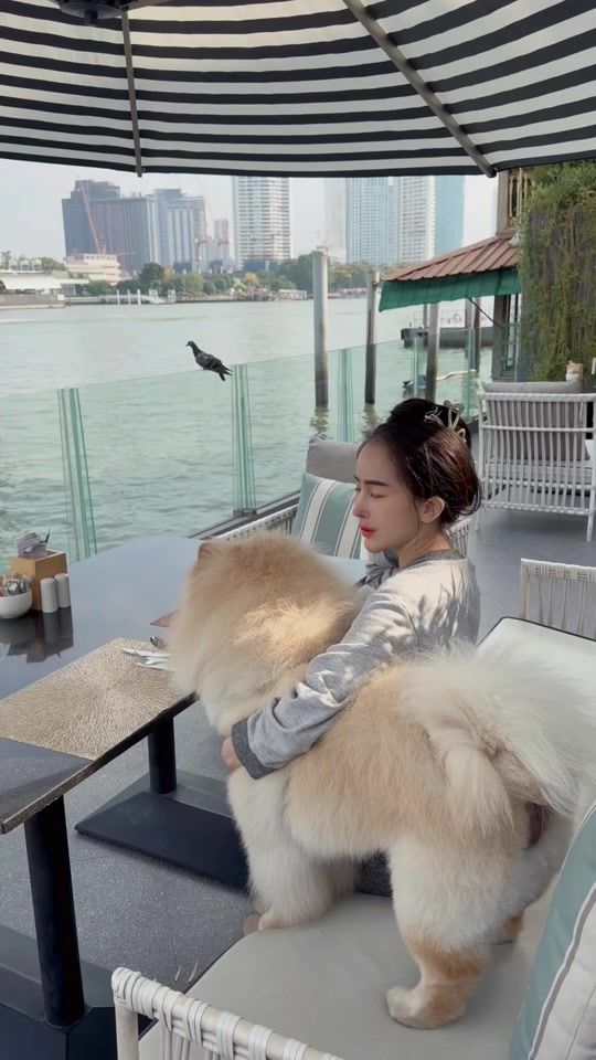 TikTok video thumbnail by malisafachai
