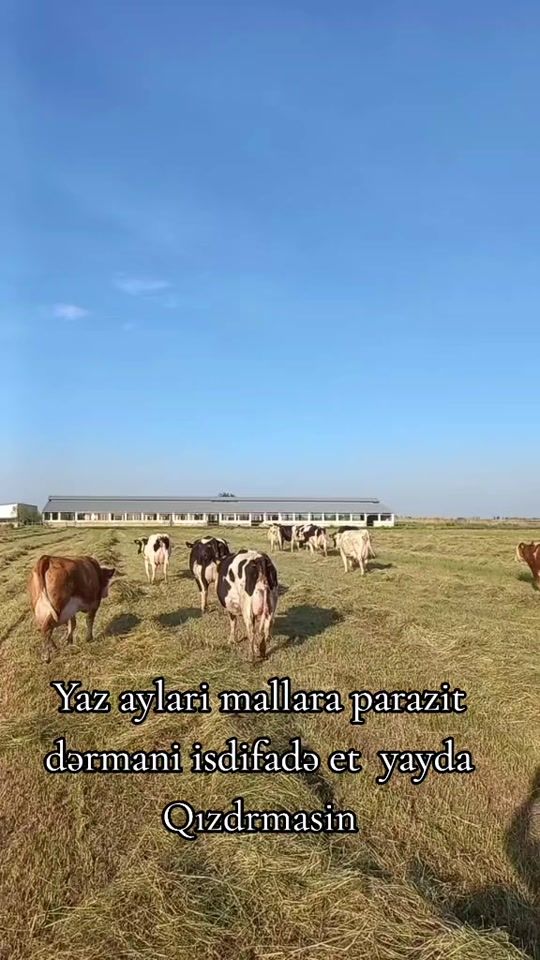 TikTok video thumbnail by ruslan_hekim