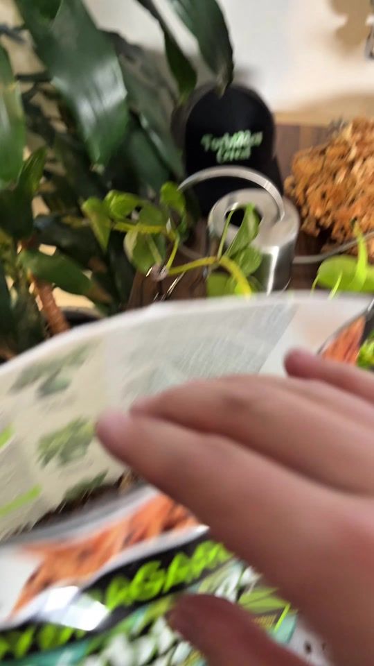 TikTok video thumbnail by forbiddencereal